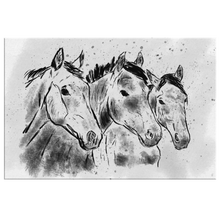 Three Horses and Amigos - The Coffee Catalyst